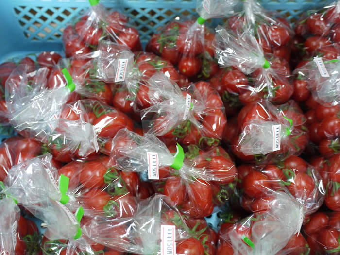 ふる里産品所で販売しているトマトの写真