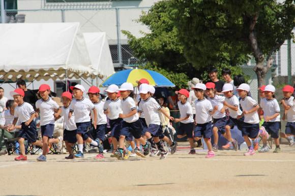 印南小学校1