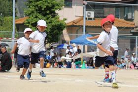 印南小学校4