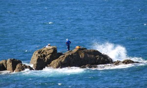 磯釣り