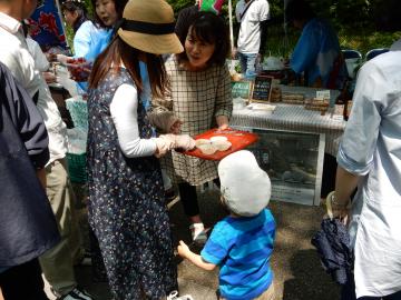 靱公園 バラ祭　くらしとみどりフェスタ2016に、印南町が参加しました