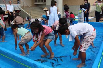 清流小学校で体験学習会