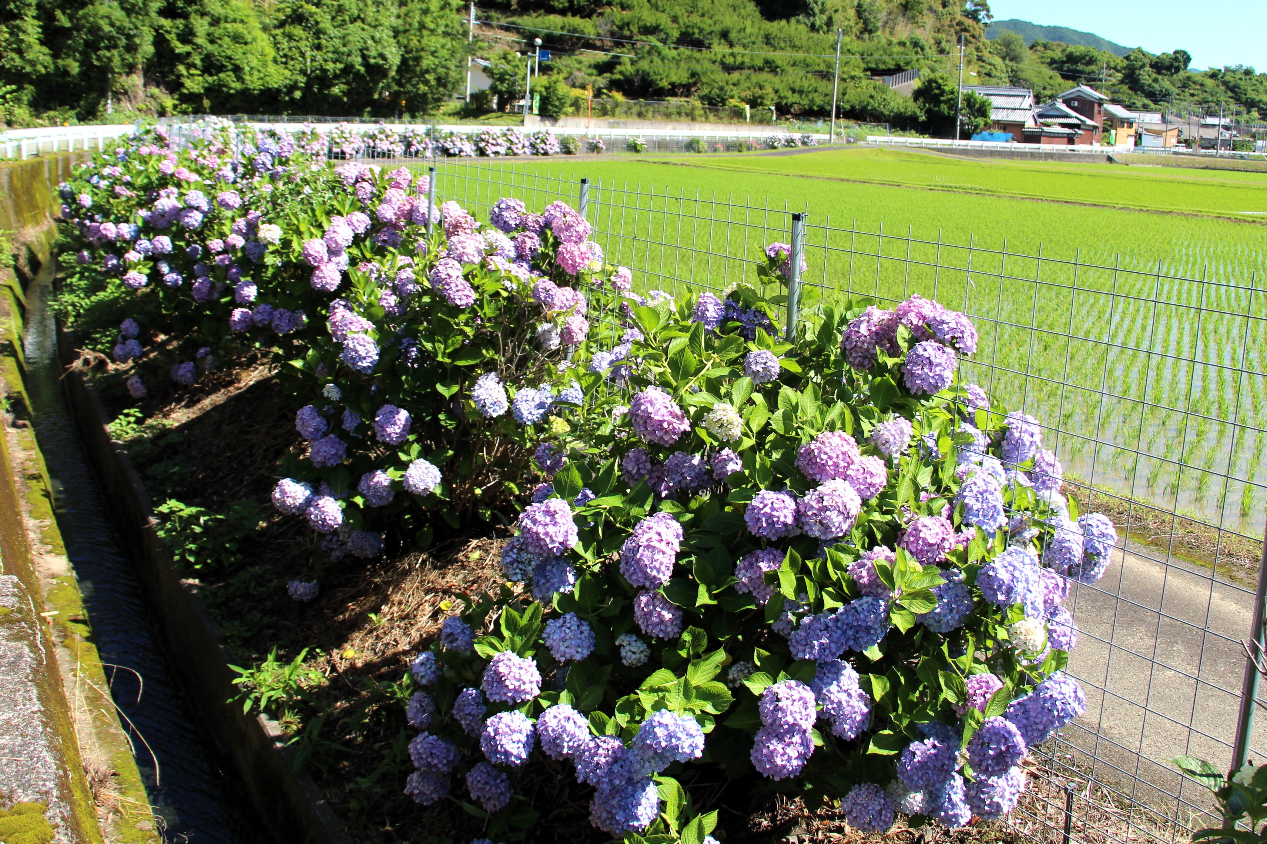 宮ノ前地区